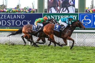 He Kin Fly (NZ) (Darci Brahma) produced another outstanding performance in the Listed Great Easter Stakes. Photo: Race Images South